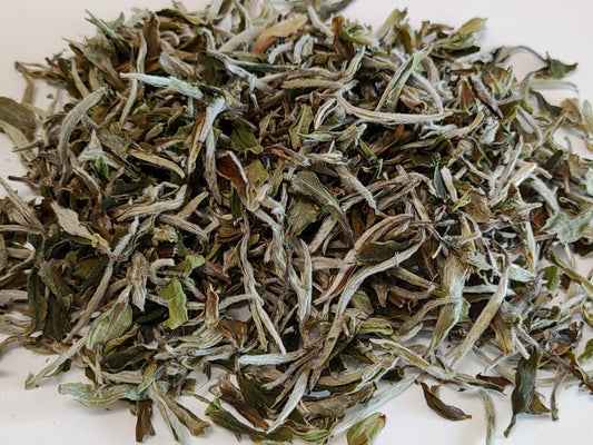 Bai Mu Dan Silver Needle